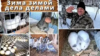 Мир светлее, когда она рядом.