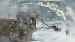 Person sleep on cloud photo manipulation | Photoshop Tutorial cc