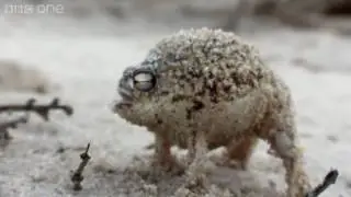 SQUEAKING FUCK ME
