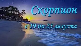 Скорпион Таро прогноз на неделю с 19 по 25 августа 2024 года.