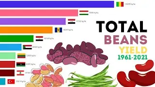Total Beans Yield 1961-2021