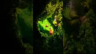 120 FPS (Tangled) ✨        #shortvideo #shorts #edits #tangled
