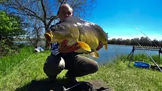 HUGE CARP, small river. Demyanovka, Crimea.