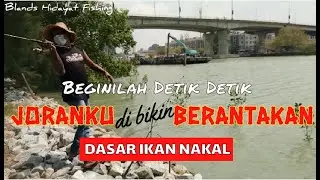 Dasar ikan nakal!! Joranku di bikin berantakan || Mancing jenahak - Micro fishing