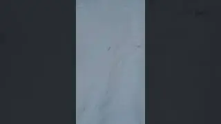 Нарушение ПДД надзирателями и защитникам Закона 