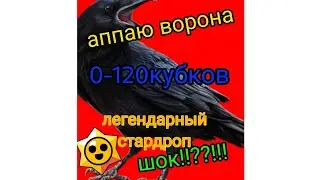 аппаю ворона 1часть