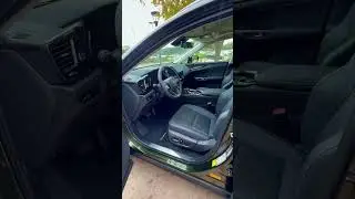 2024 Lexus NX 350 Luxury in Nori Green