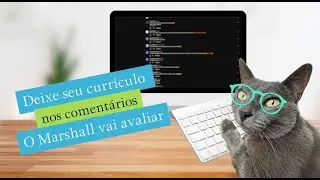 Deixe seu currículo nos comentários 🥹 O Marshall vai avaliar #gatos #gatosengraçados #gatofalante