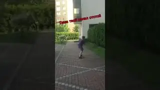 Тиша наказывает хэйтеров #animals #собака #funny #puppy #тиша