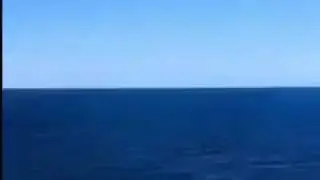 21 декабря 2020 г.