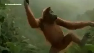 Балам туган кунинмен!(2)