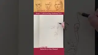 Quick Face Drawing 