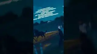 Аланская (КарачаевоБалкарская) порода лошадей