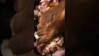 ගං ඌරු මස් කාලා තියෙනවද? 🐗 Free Range Boar Curry | දර ලිපේ රතු පාටට 🤤