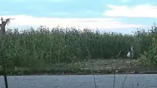 Русские не боятся ничего