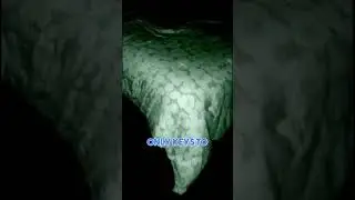 A viewer sent in this experience of someone at their apartment late at night 