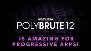Arturia PolyBrute 12 - Amazing for Arps!