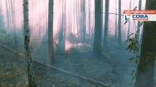 Под Екатеринбургом на 3-х гектарах горит лес