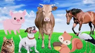 Animal sounds - Pig, dog, cow, horse, cat - Familiar animals