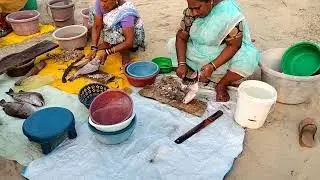 #malvan #fish #fishing #fishingvideo #fisherman #market #fishmarket #sindhudurg #tarkarli #chivala