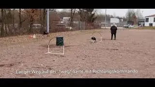 Hoopers: Geräte und Kommandos unterscheiden.