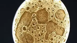 Leonhart Design sta trasmettendo dal vivo nuvole e stelle.