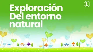 Exploración del Entorno Natural #6