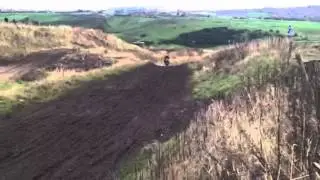 Peacocks hay