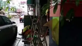 #23 Тайвань, Мадоу, прогулка по улице, интересные мелочи - Taiwan, Madou