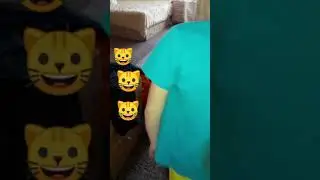 Кот без забот)))