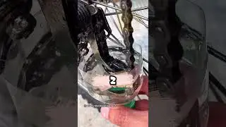 Это было ОЧЕНЬ ОПАСНО😱 