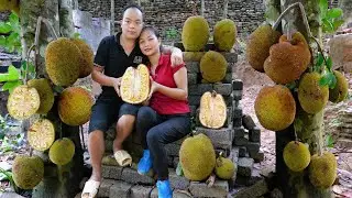Duong and beautiful wife Harvesting JACKFRUIT Goes to the market sell