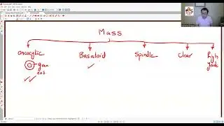 H&N PATHOLOGY: SALIVARY GLAND TUMORS 1