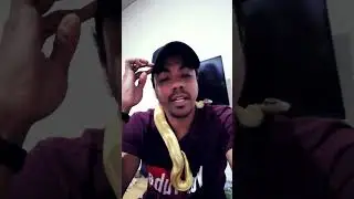 Desanimado com o Tico e Teco