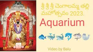 శ్రీ శ్రీ శ్రీ చెంగాలమ్మ తల్లి మహోత్సవం 2023. Aquarium, the beauty of Fishes.🐟🐳🐋🐬🦈🦭