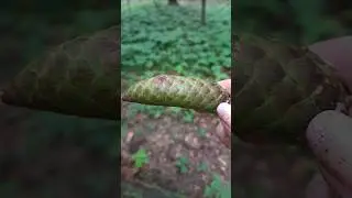 Ой, что я нашла :) 
