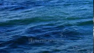 Sea wave closeup, sea water texture, loop video background full hd 1080p, Royalty free stock footage