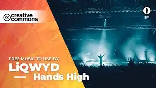 LiQWYD - Hands High