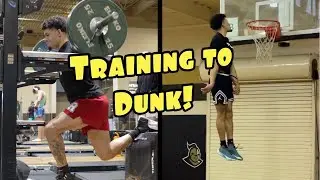 Vertical Jump Workout: High Volume Training
