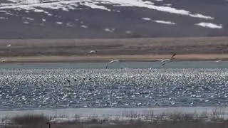 Freezeout Lakes Wednesday Apr 5 23