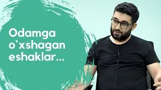 Odamga o`xshagan eshaklar... | 