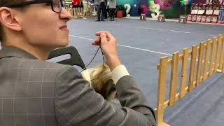 Первая выставка Мирошка, не сдаемся, учимся, стараемся