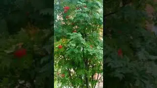 красота 😉