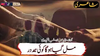 🧣Mail Gaye Ho Ga Koi | Urdu Shayari Alone | Wakhra_Malang |#Short