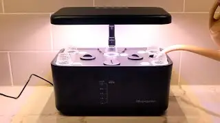 Ahopegarden Indoor Smart Planter Semi-automatic Countertop Mini Hydroponic System Setup and Review