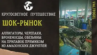 Кругосветное путешествие. Черный рынок Амазонки