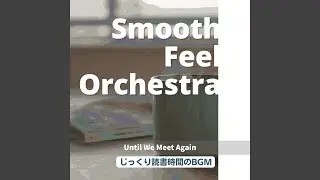 The Story of the Street