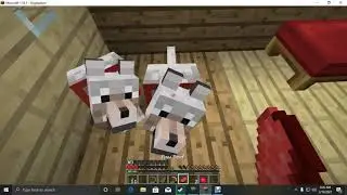 MINECRAFT ROLE PLAY