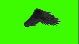 Green Screen Sayap Hitam | Kumpulan Green Screen | Green Screen Terbaru