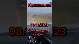 Нашествие...08.08.2023г. 